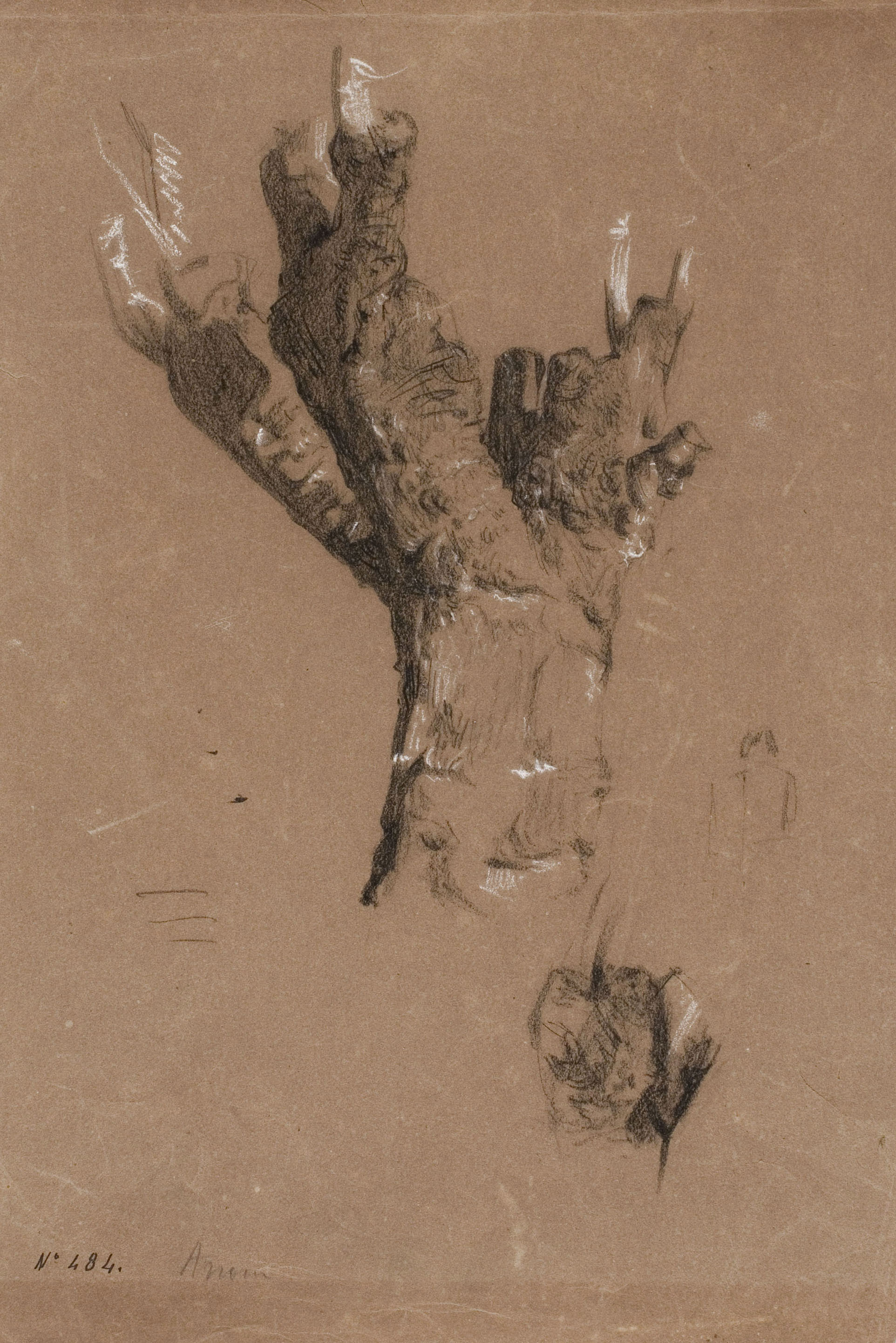 Ramon Martí i Alsina - Estudi del tronc d'un arbre - Cap a 1870-1875 image for: Ramon Martí i Alsina - Estudi del tronc d'un arbre - Cap a 1870-1875