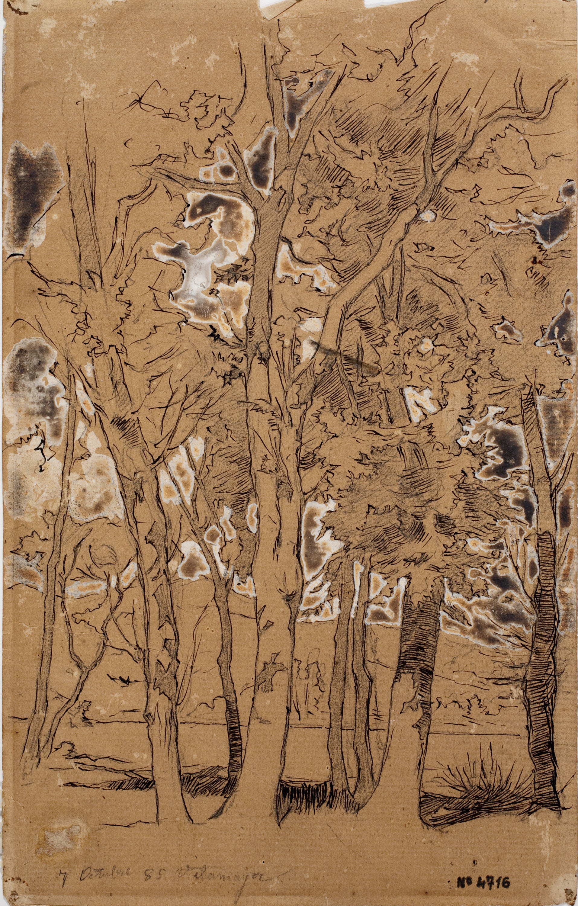 image for: Josep Lluís Pellicer - Vilamajor - 1885