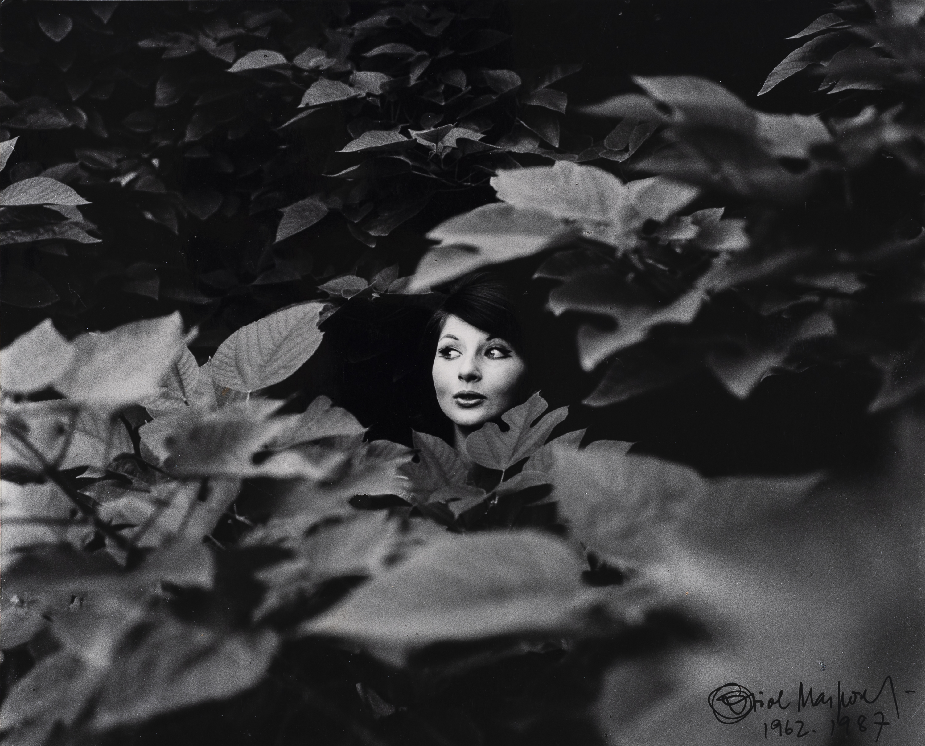 Oriol Maspons - Germaine - 1962 (tiratge 1987) image for: Oriol Maspons - Germaine - 1962 (tiratge 1987)