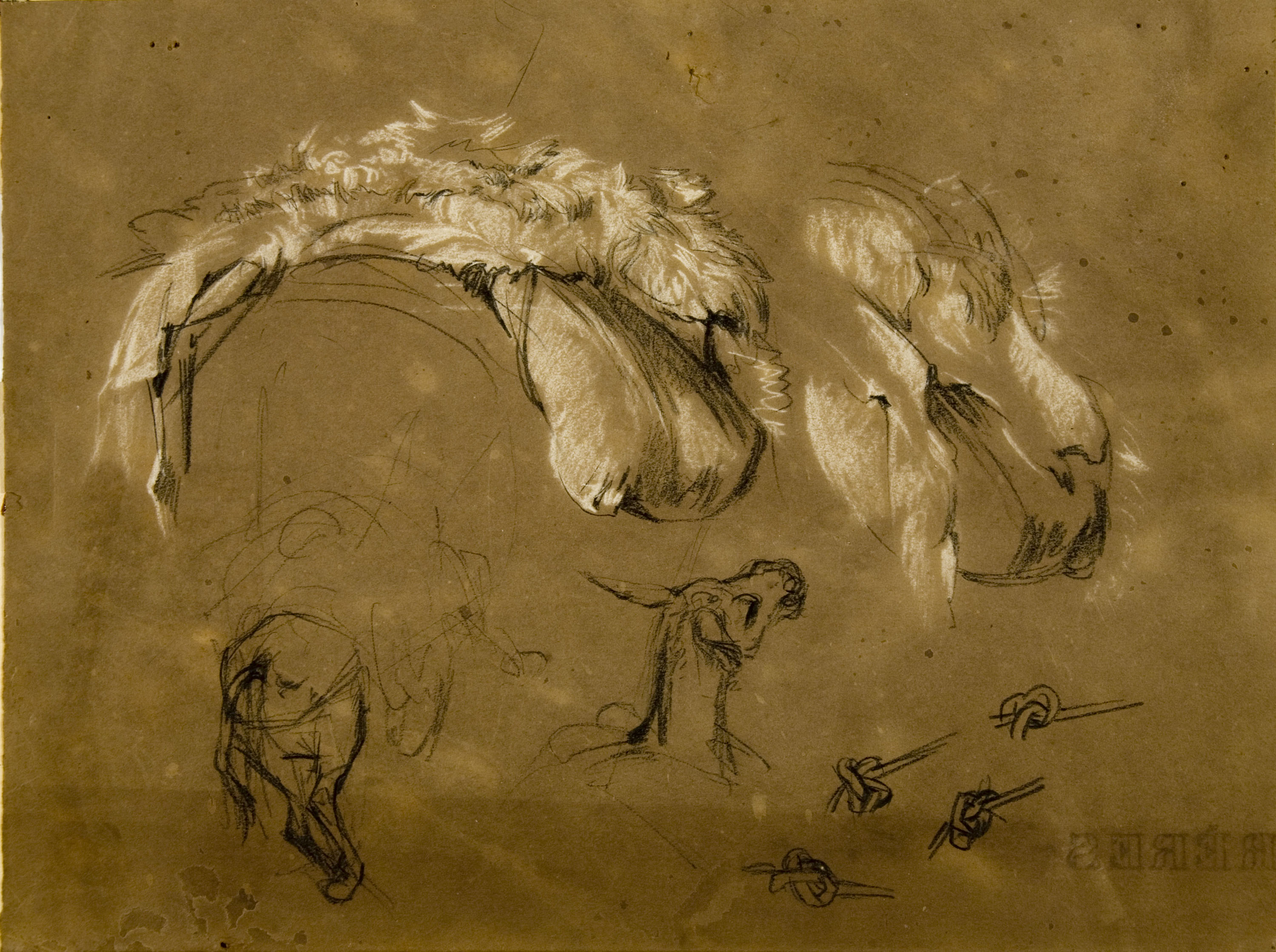 image for: Ramon Martí i Alsina - Estudi de ruc i sàrries per al quadre del Quixot - Cap a 1860-1880