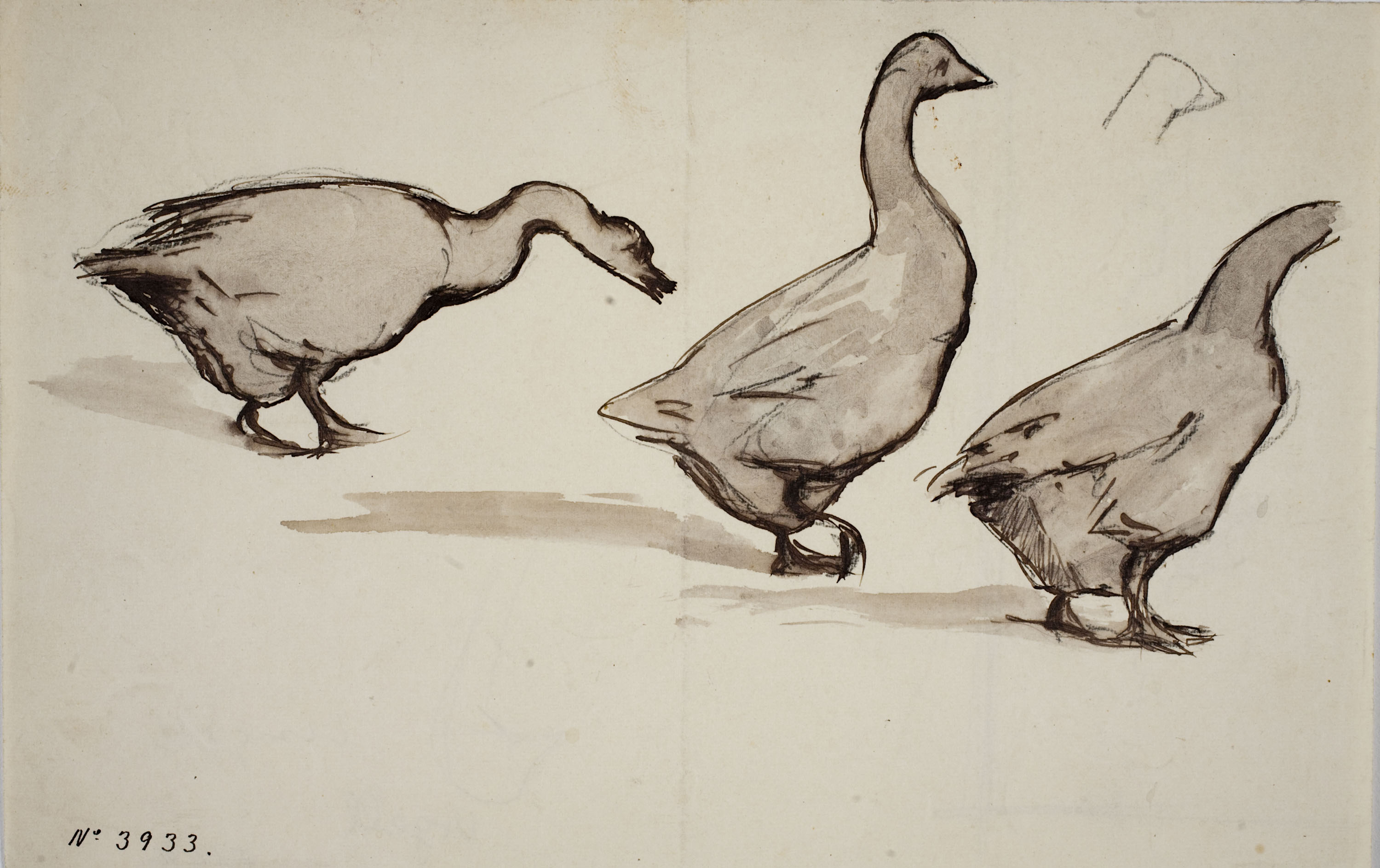 image for: Modest Urgell - Oques - Cap a 1861-1888