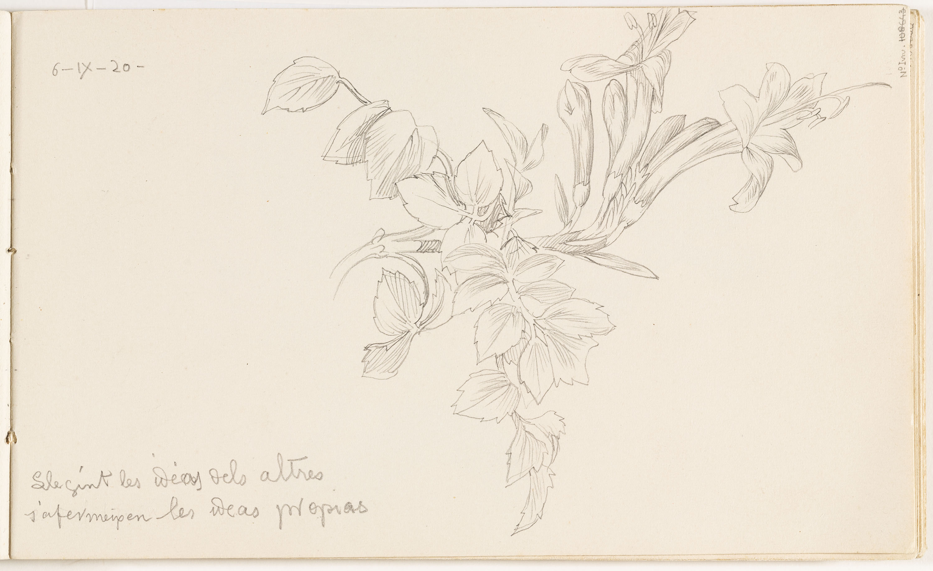 image for: Alexandre de Riquer - Bignoniàcies - 1920