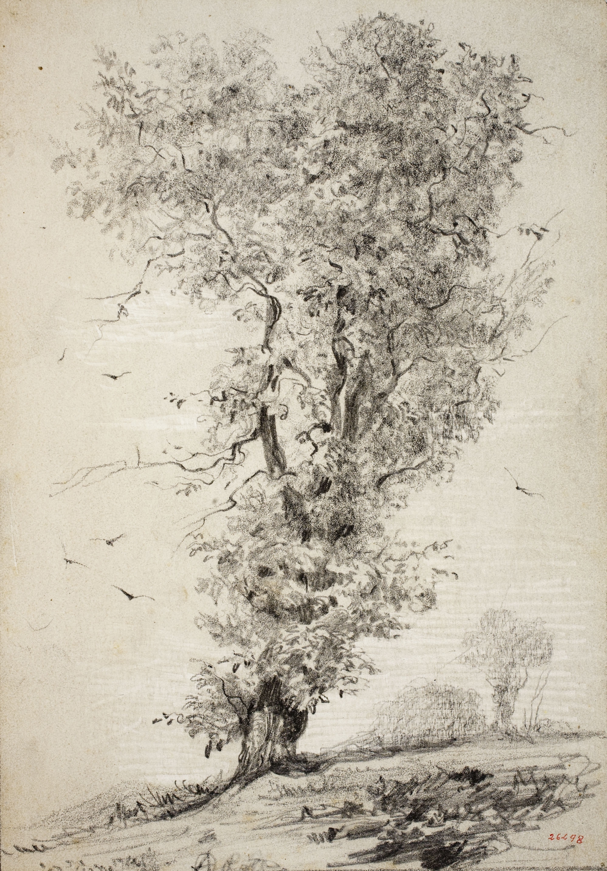 image for: Modest Urgell - Arbre - Cap a 1864