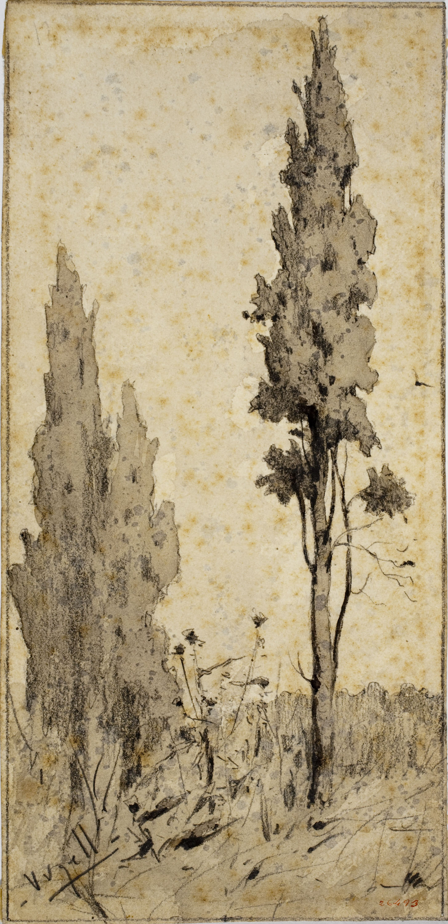 image for: Modest Urgell - Arbres - Cap a 1864