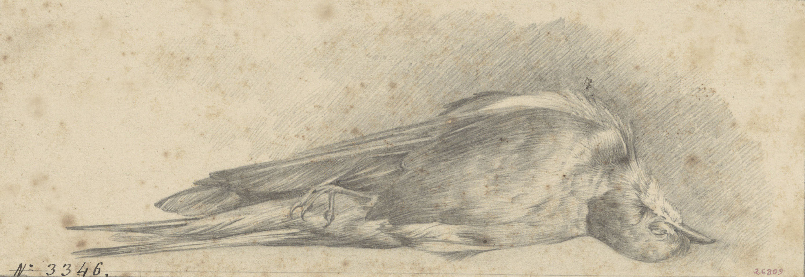 image for: Alexandre de Riquer - Ocell mort - Cap a 1895