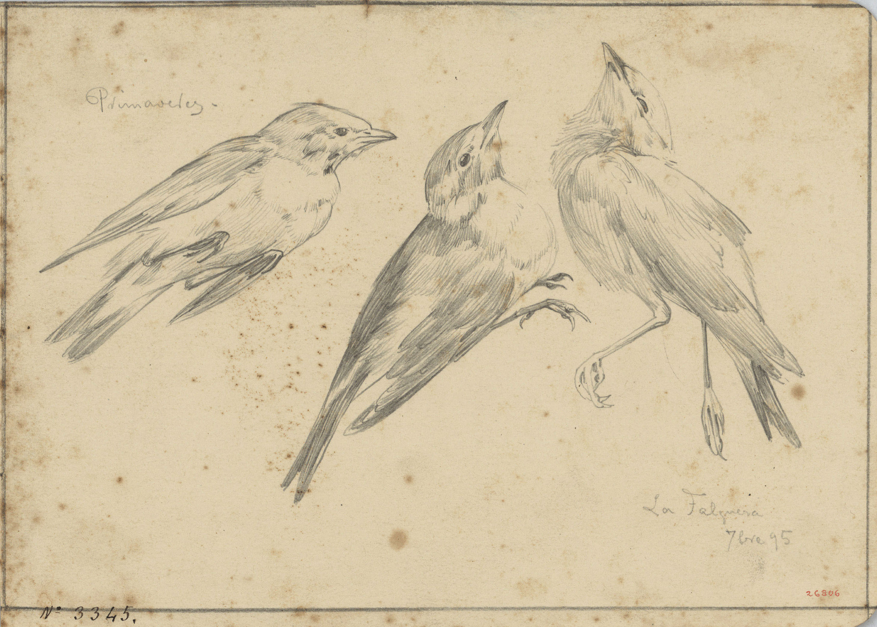 image for: Alexandre de Riquer - Ocells (Primaveres) - 1895
