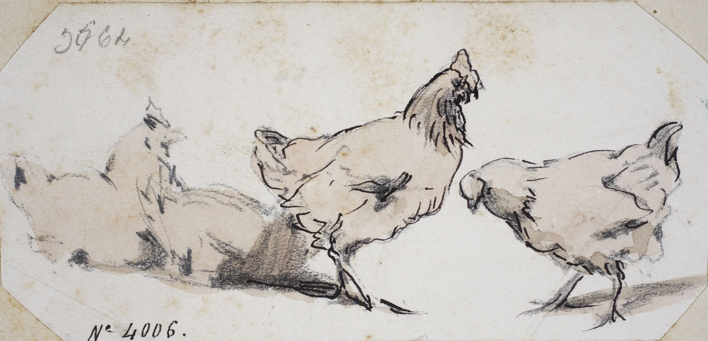 image for: Modest Urgell - Gallines - Cap a 1864