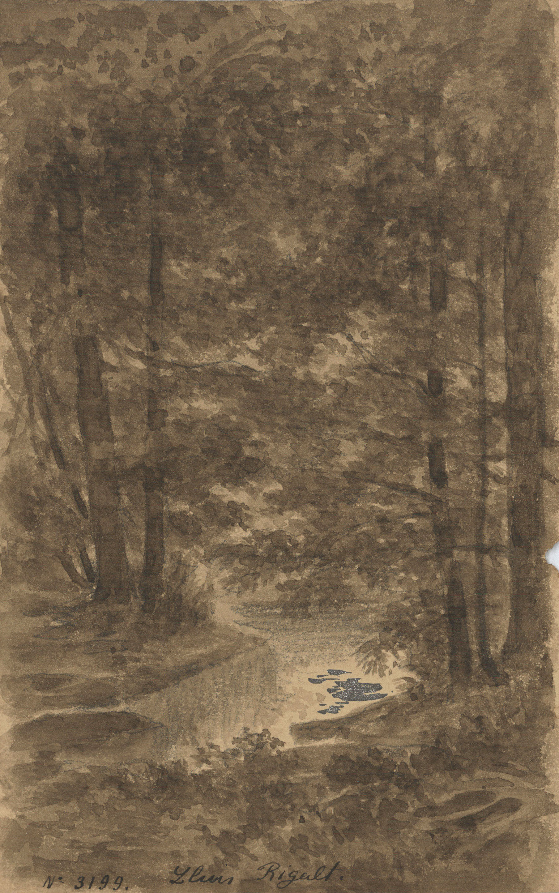 image for: Lluís Rigalt - Bosc - Cap a 1870-1880