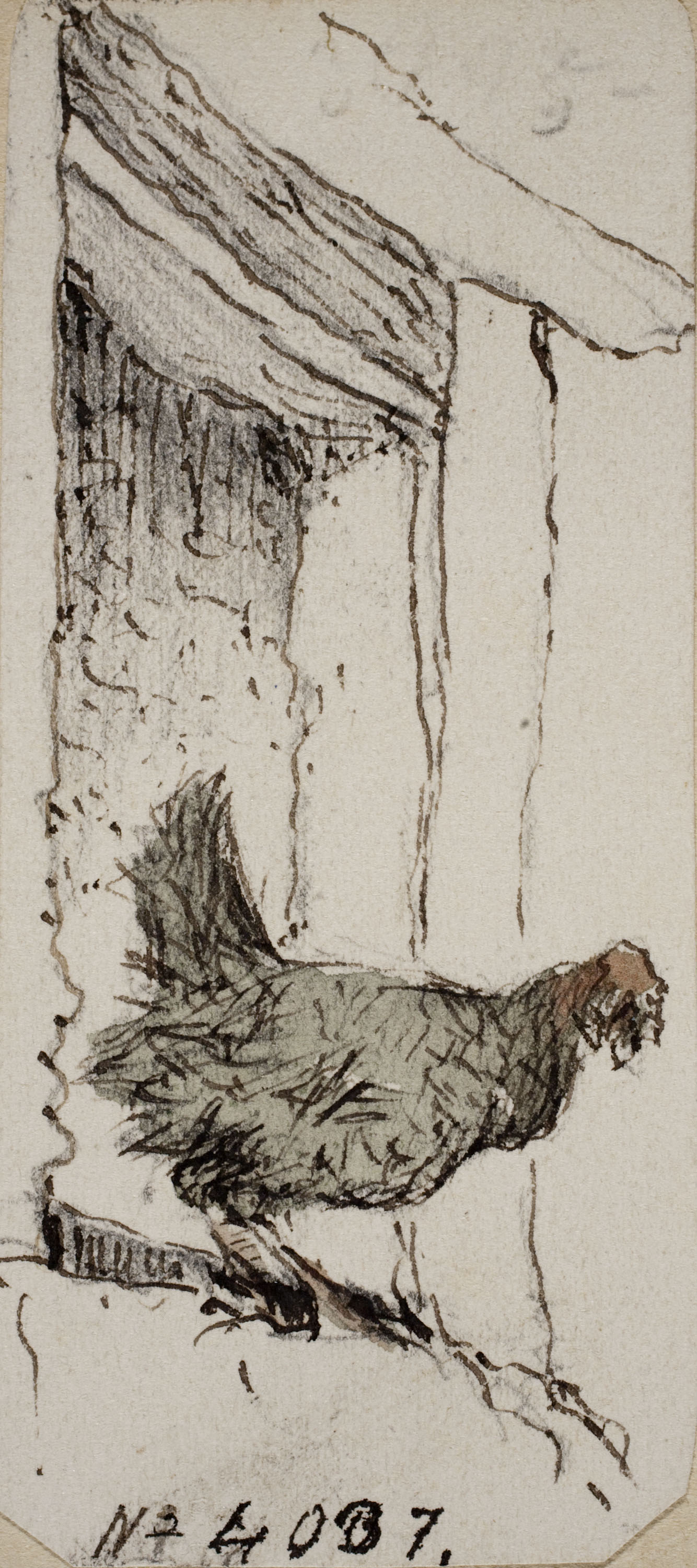 Modest Urgell - Gallina - Cap a 1864 image for: Modest Urgell - Gallina - Cap a 1864