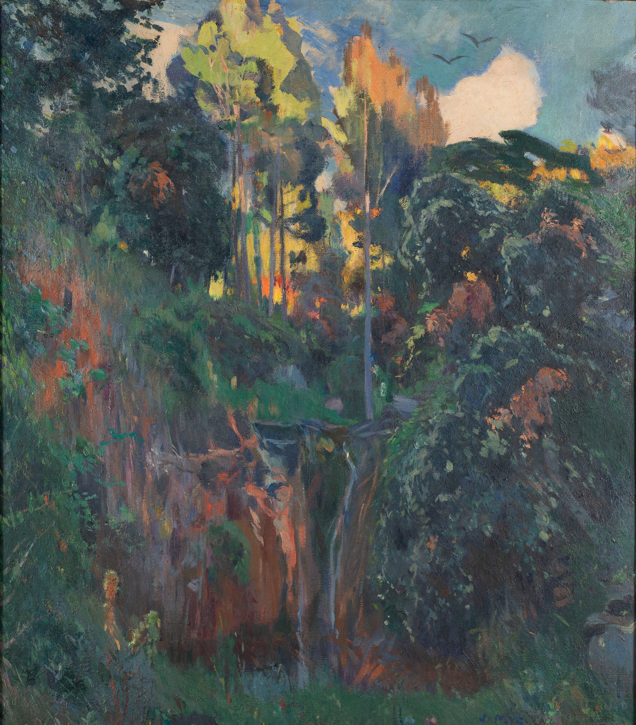 image for: Joaquim Mir - El salt d'aigua - Cap a 1919-1921