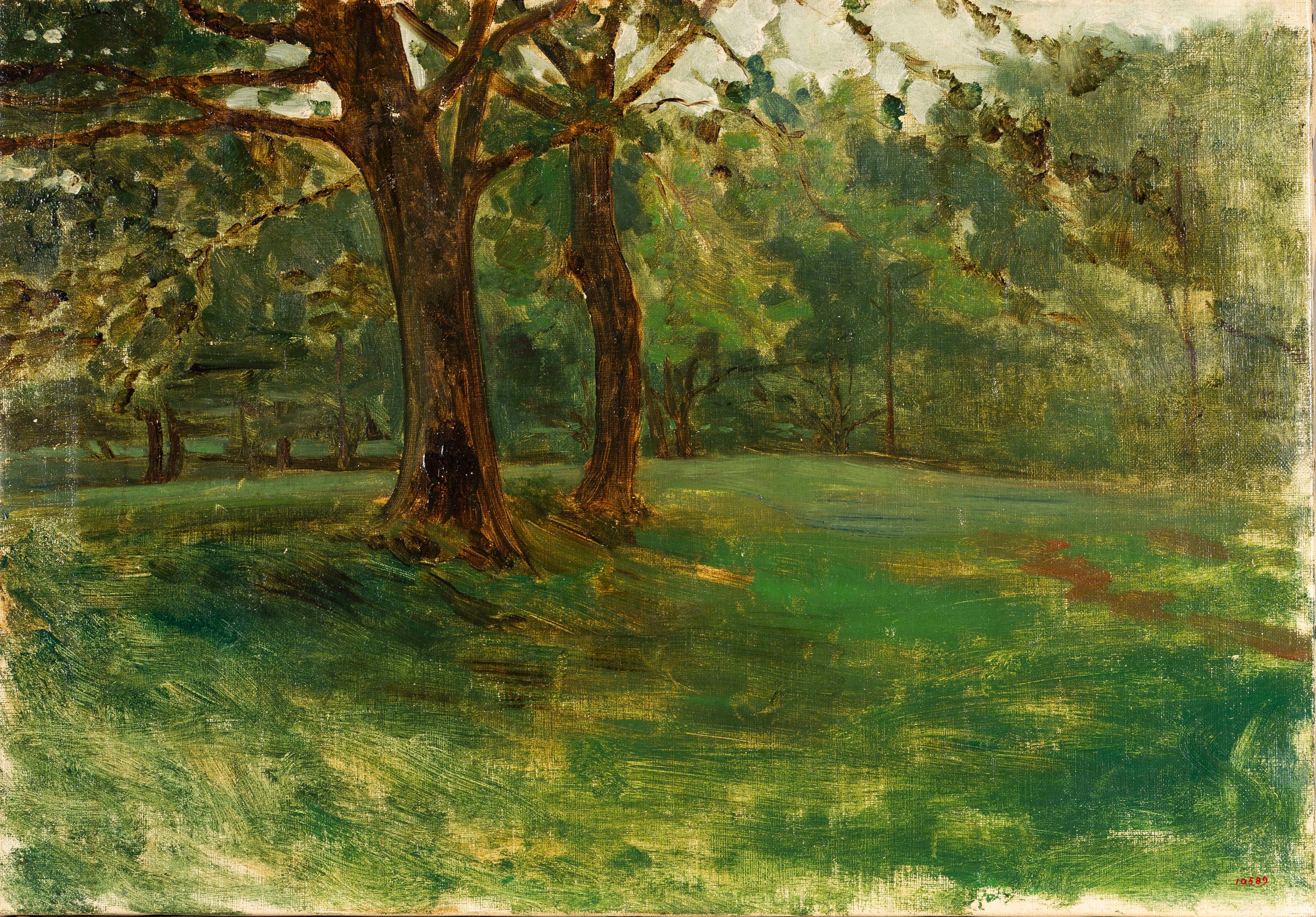 image for: Joaquim Vayreda - La roureda - Cap a 1892