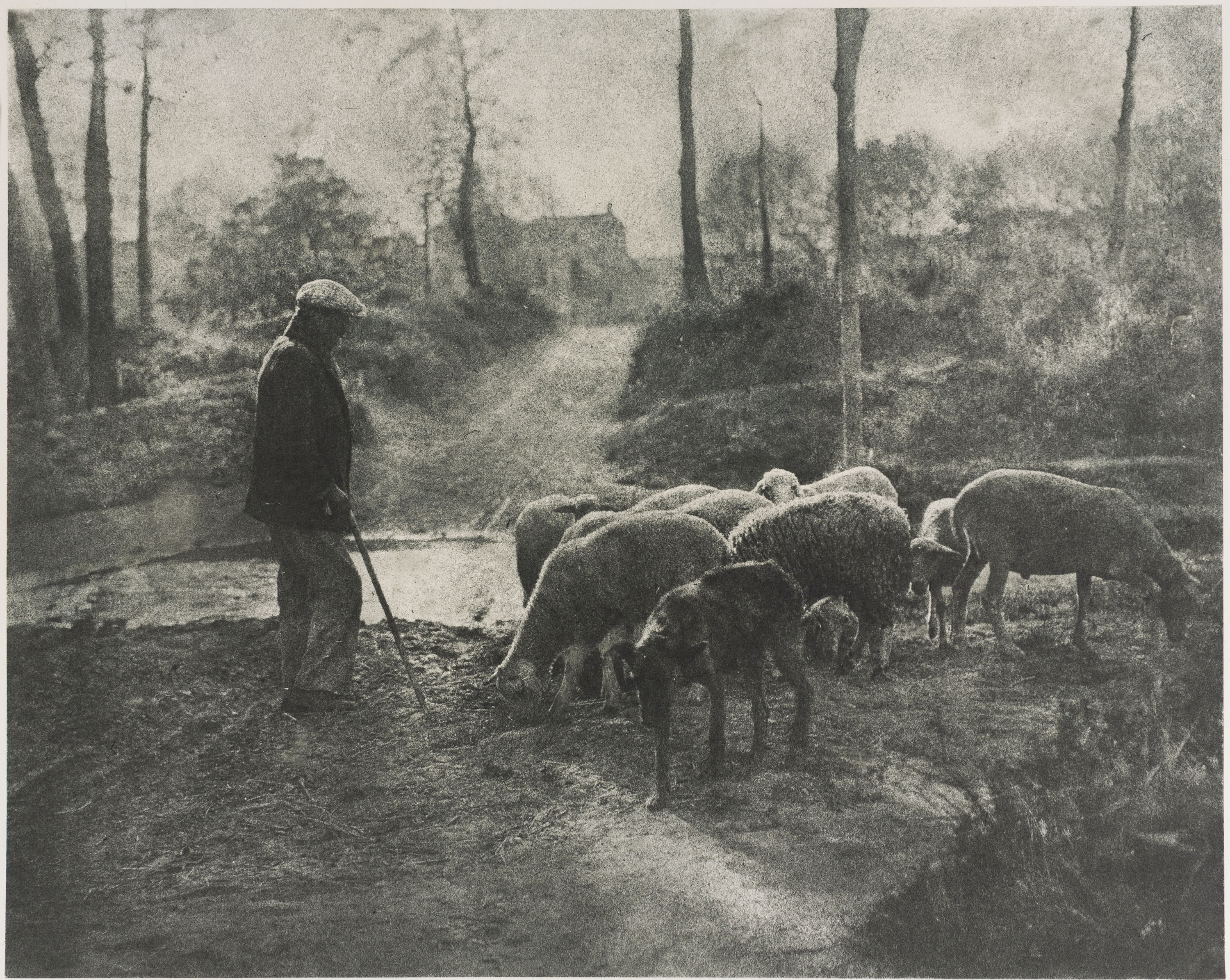 Josep Maria Casals i Ariet - Pastor amb ramat de bens - No datat image for: Josep Maria Casals i Ariet - Pastor amb ramat de bens - No datat