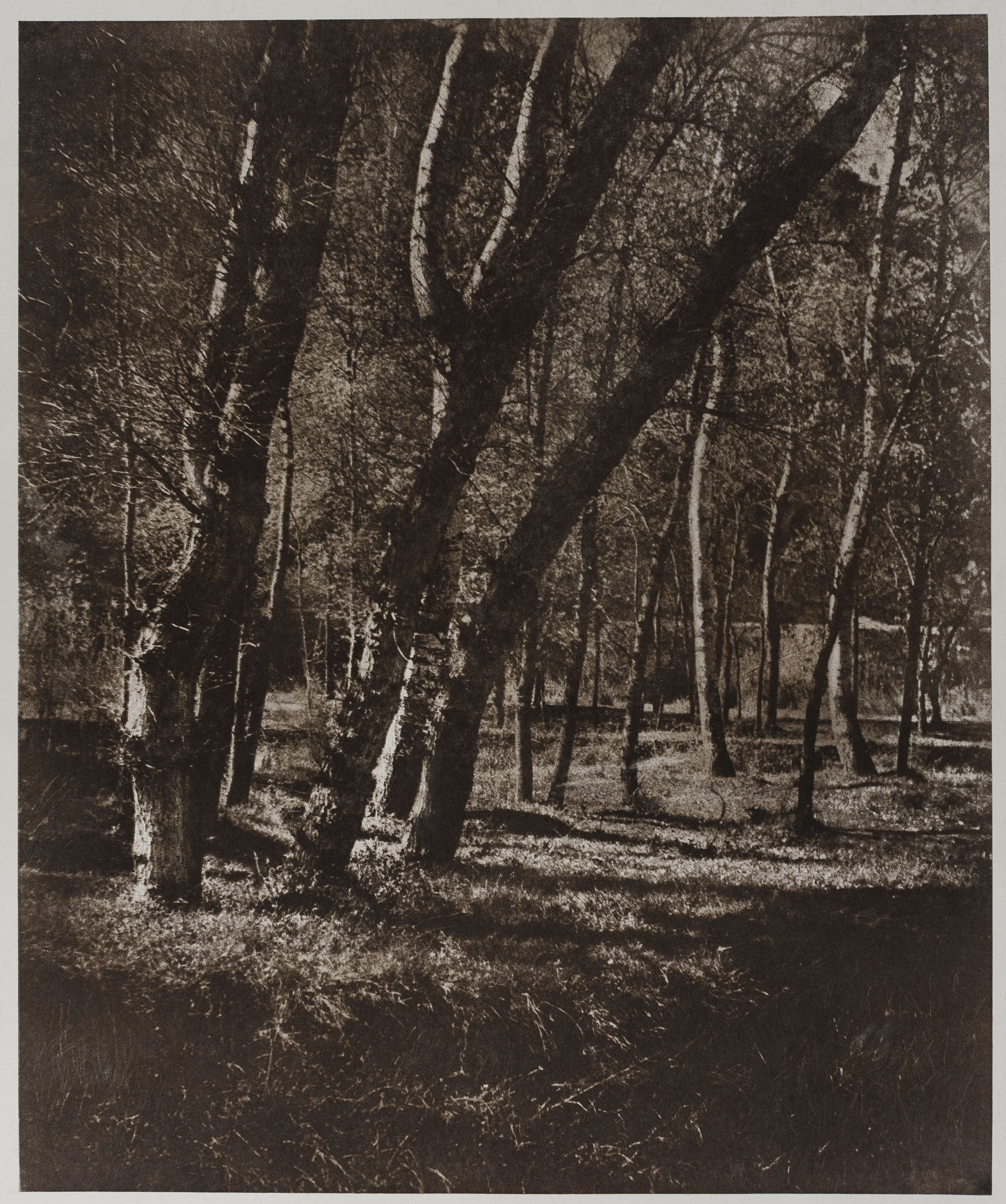 image for: Josep Maria Casals i Ariet - Paisatge - No datat