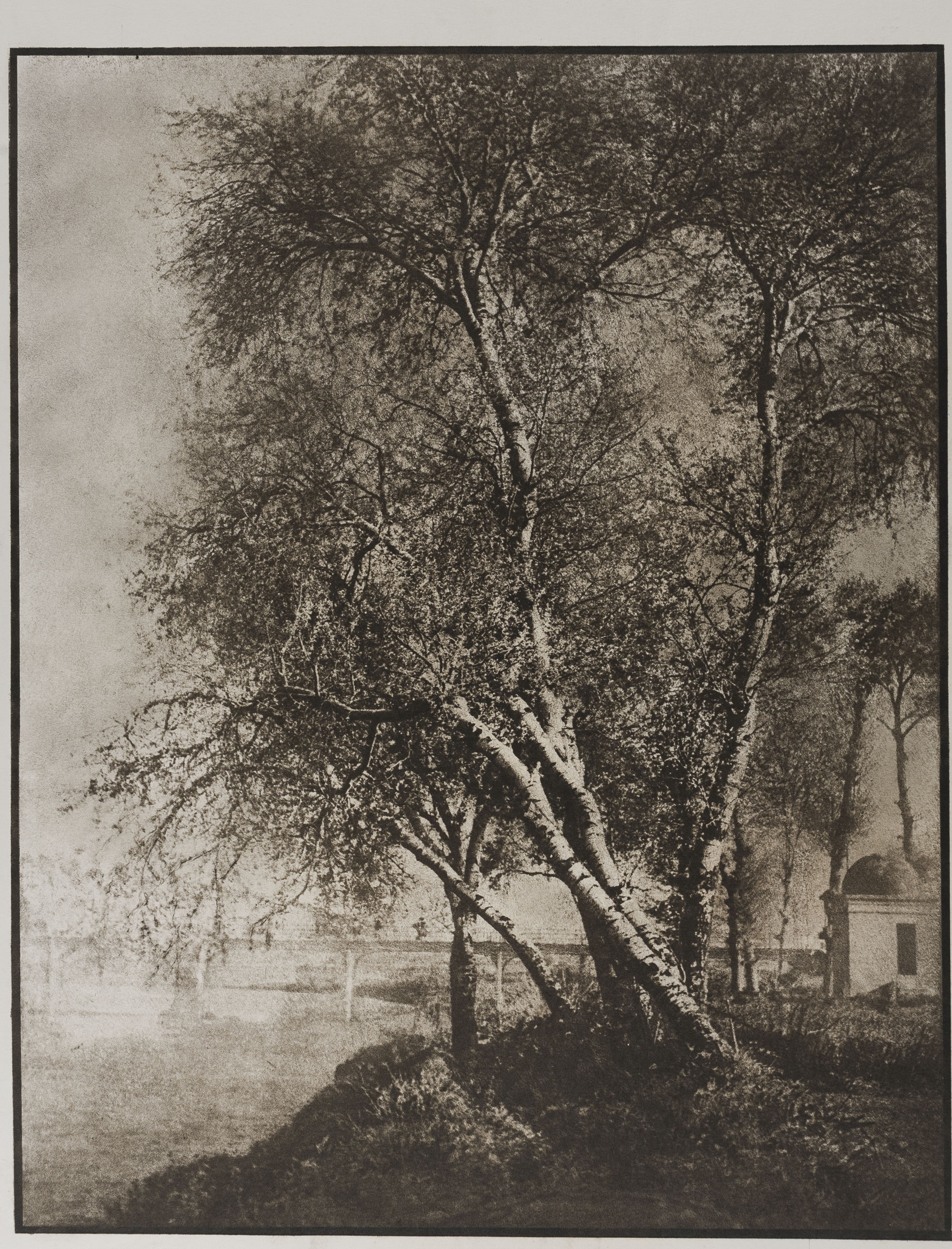 image for: Josep Maria Casals i Ariet - Paisatge - No datat