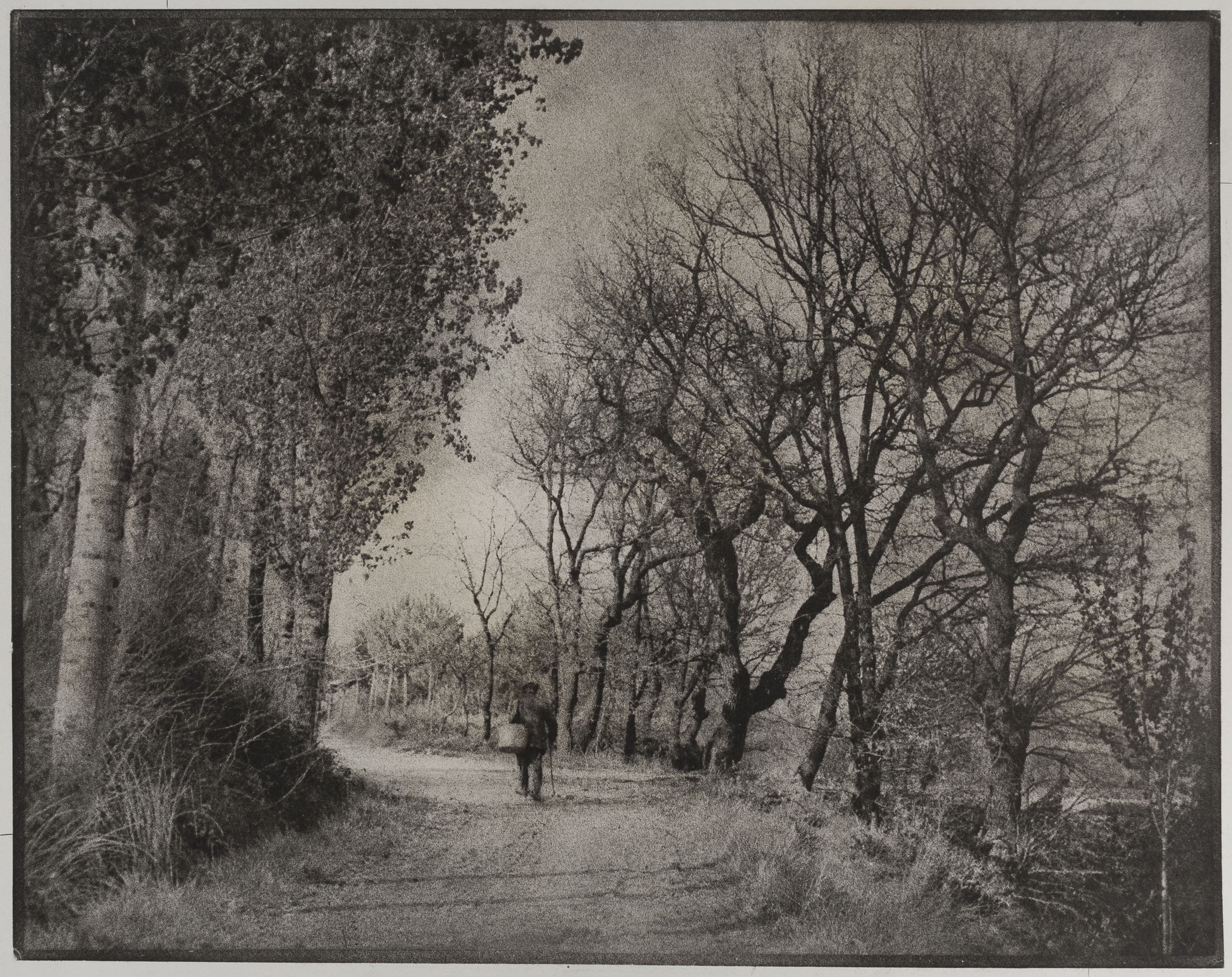 image for: Josep Maria Casals i Ariet - Camí de poble - No datat