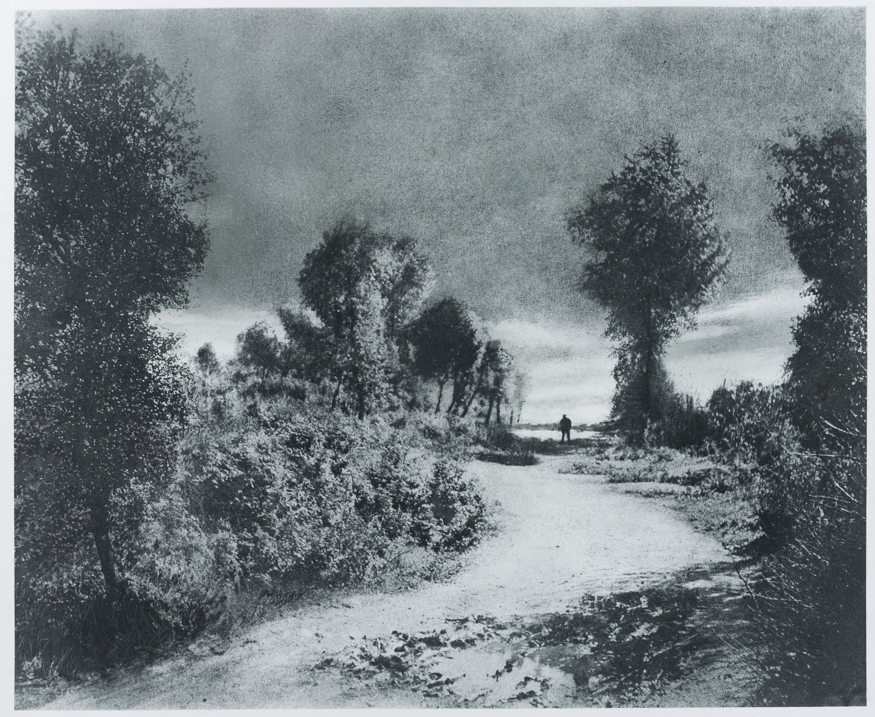 image for: Josep Maria Casals i Ariet - Paisatge - No datat