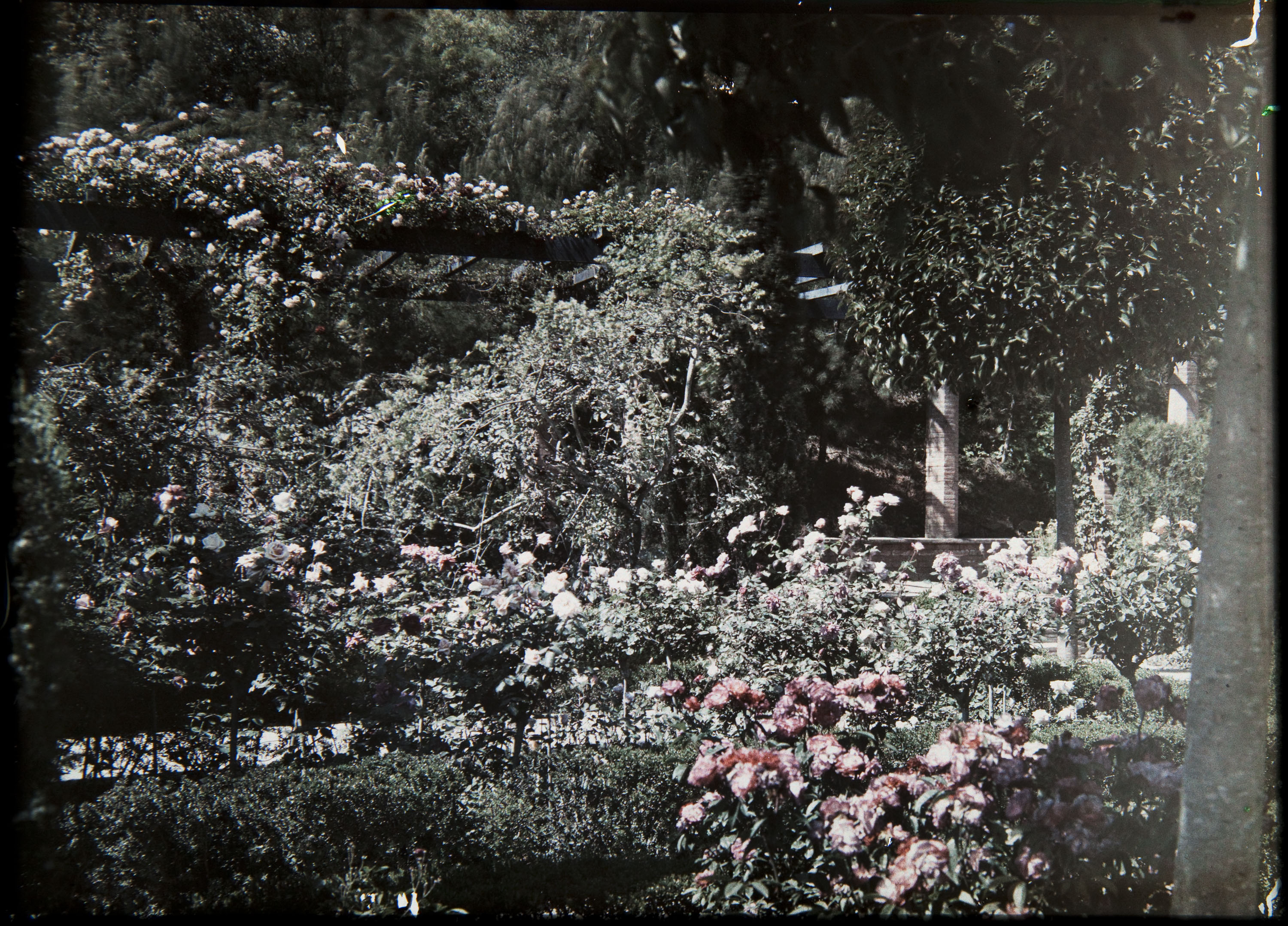 image for: Francesc Carrera Bou - Jardí - Cap a 1926