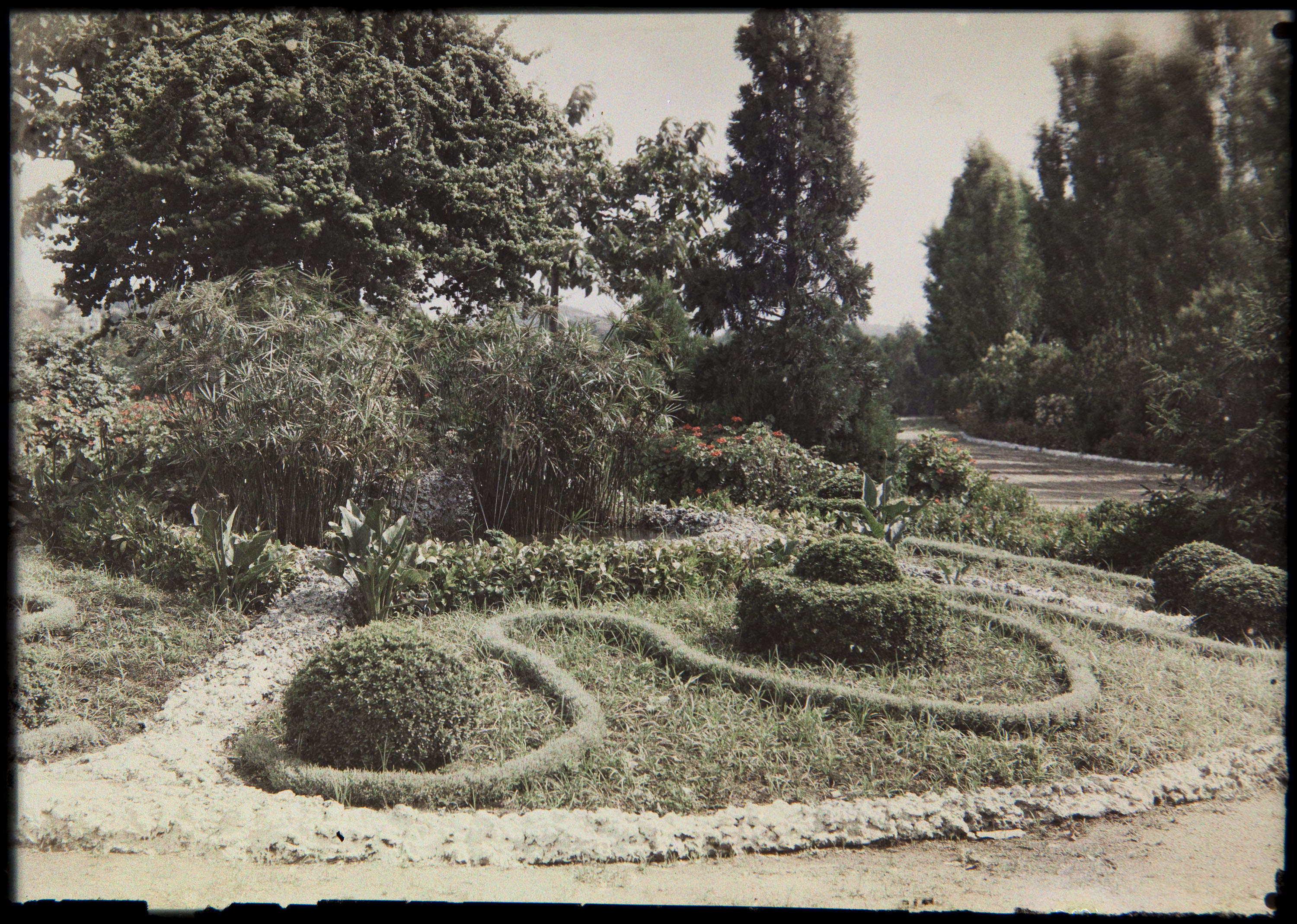 image for: Francesc Carrera Bou - Jardí - Cap a 1926