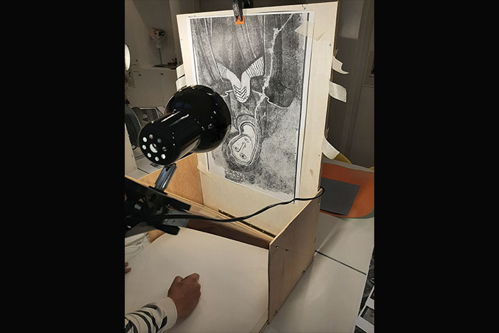 Fotosensibilitat encarnada