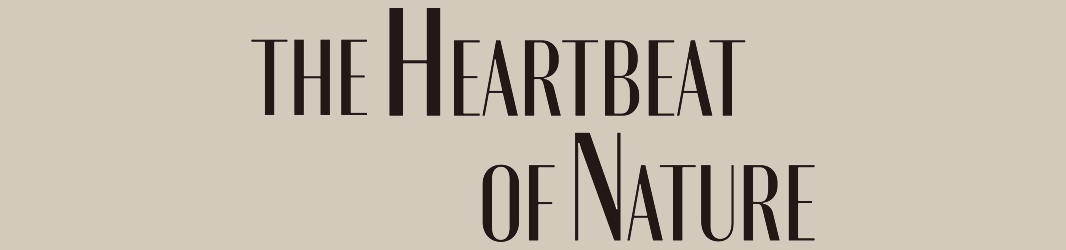 The heartbeat of the nature