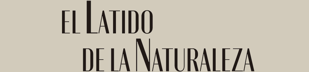 El latido de la naturaleza | recursos para la visita