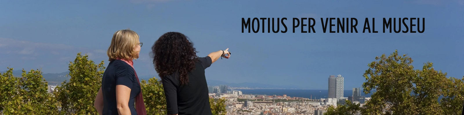 Motius per venir al museu