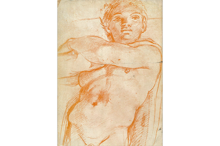 Mostra dei Carracci: 1 settembre – 31 ottobre 1956, Bologna, Palazzo dell’Archiginnasio