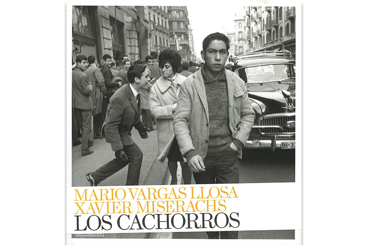 Los cachorros