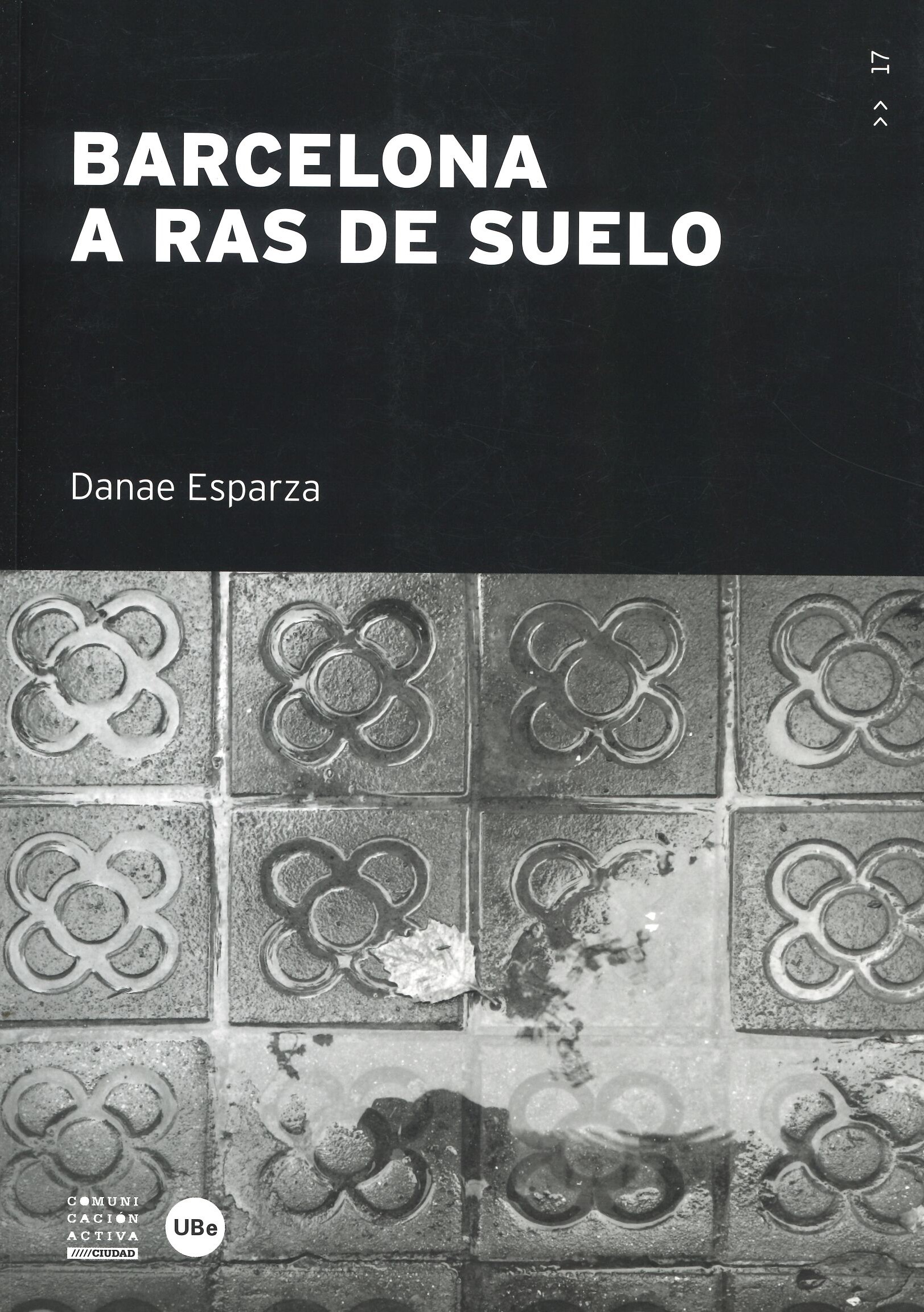 barcelona_ras_suelo.jpg barcelona_ras_suelo.jpg