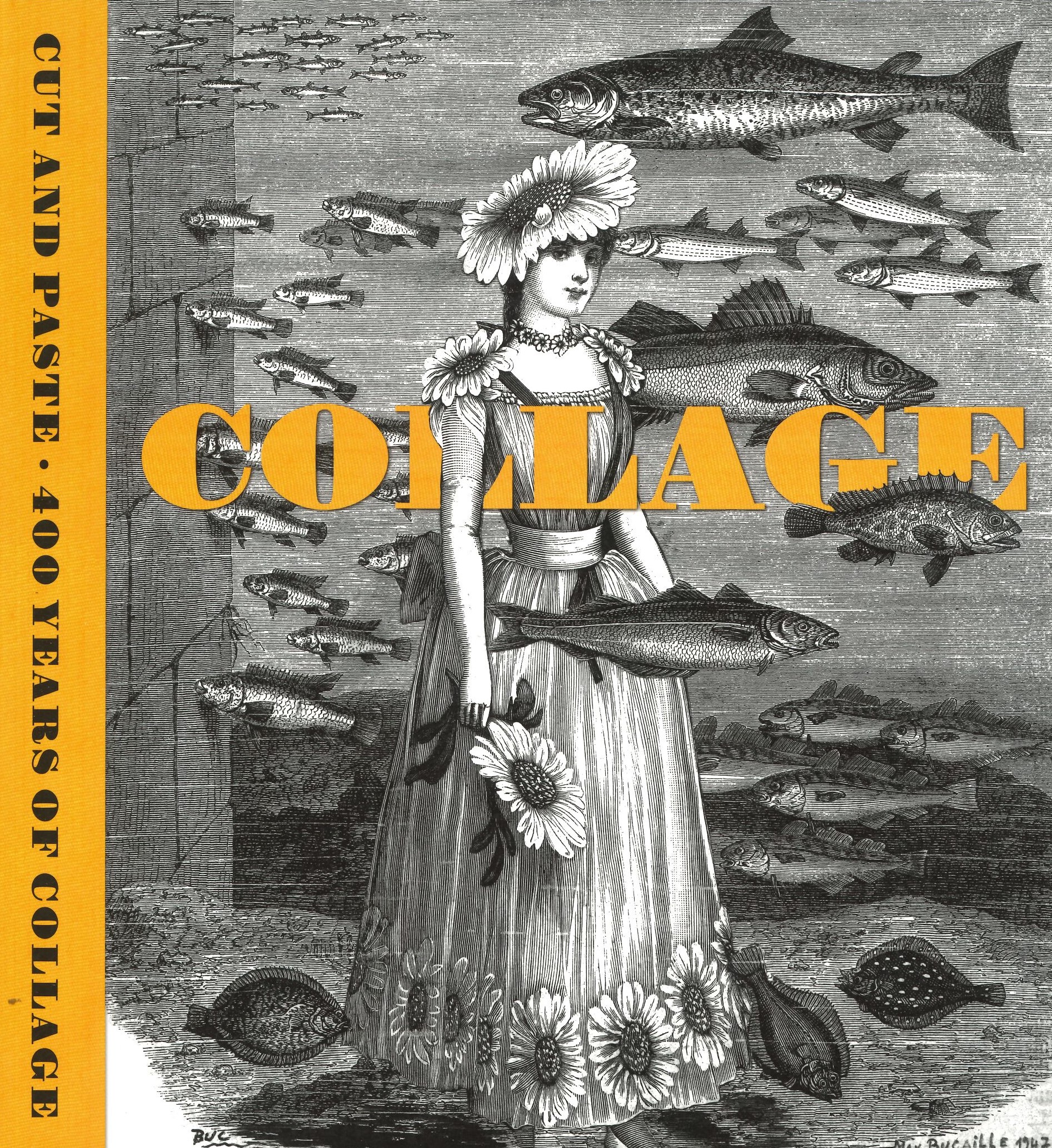 collage.jpg