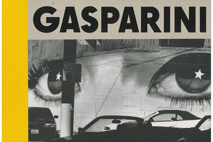 Paolo Gasparini: camp d'imatges