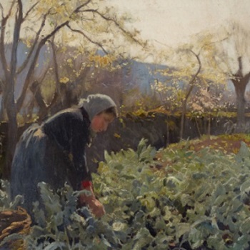 Joaquim Mir. Pagesa arrencant cols