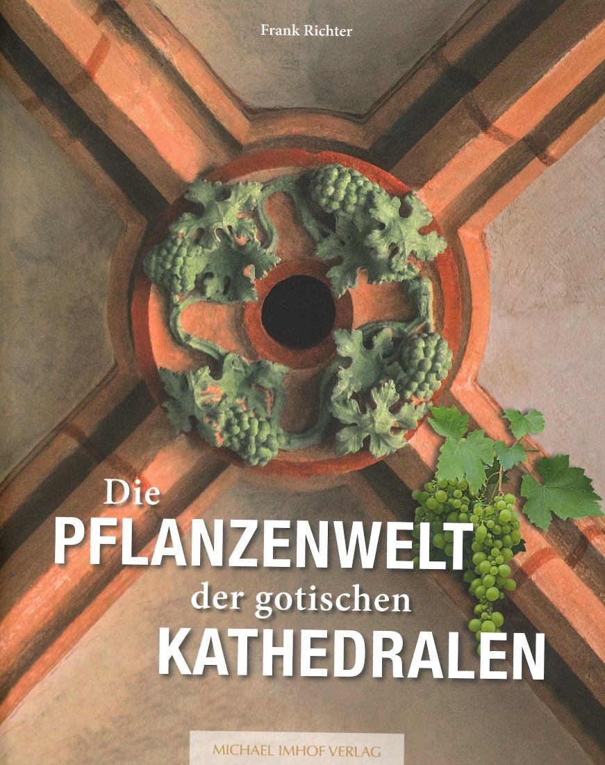 pflanzenwelt.jpg pflanzenwelt.jpg