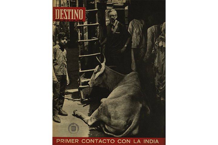 Destino Destino