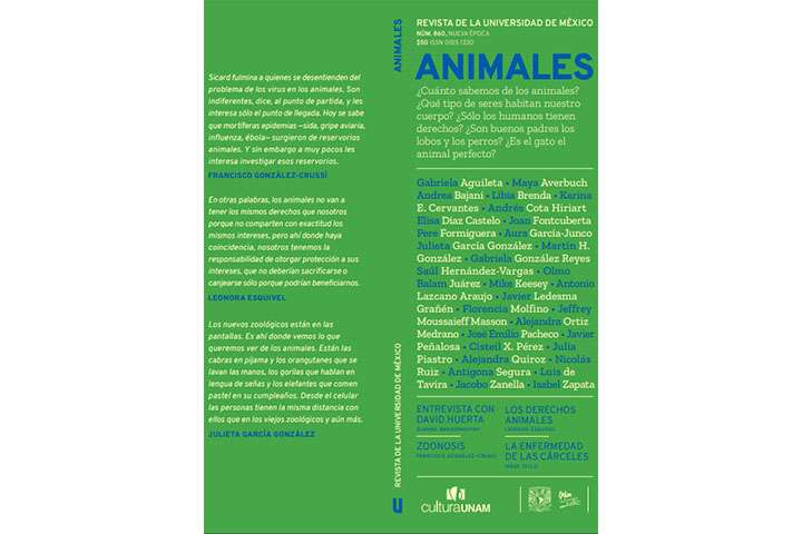 Revista de la Universidad de México