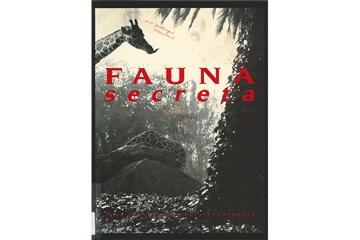 Fauna secreta : Joan Fontciberta, Pere Formiguera: 29 marzo – 15 junio, Museo Nacional de Ciencias Naturales, Madrid