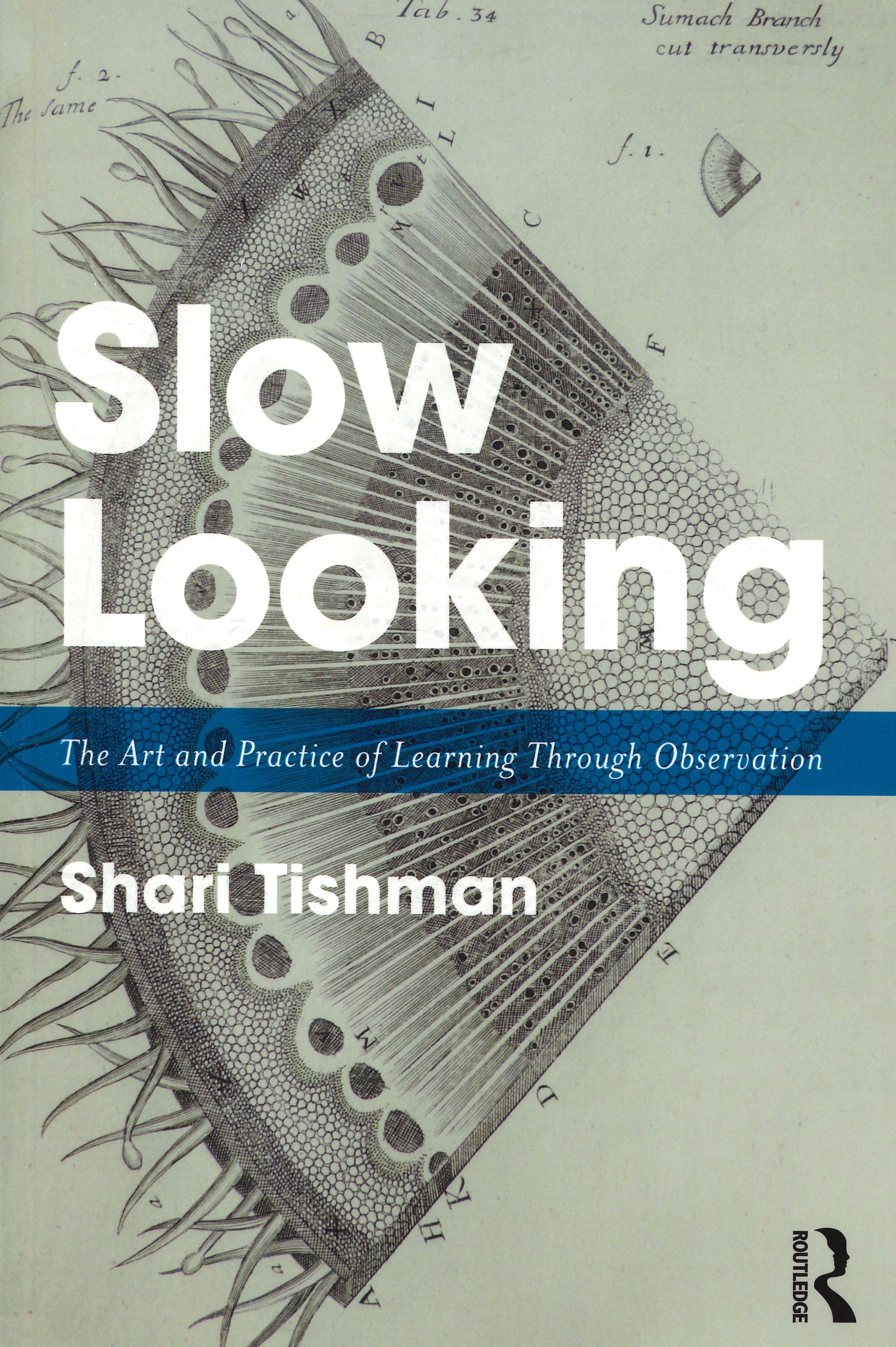 slow looking.jpg slow looking.jpg