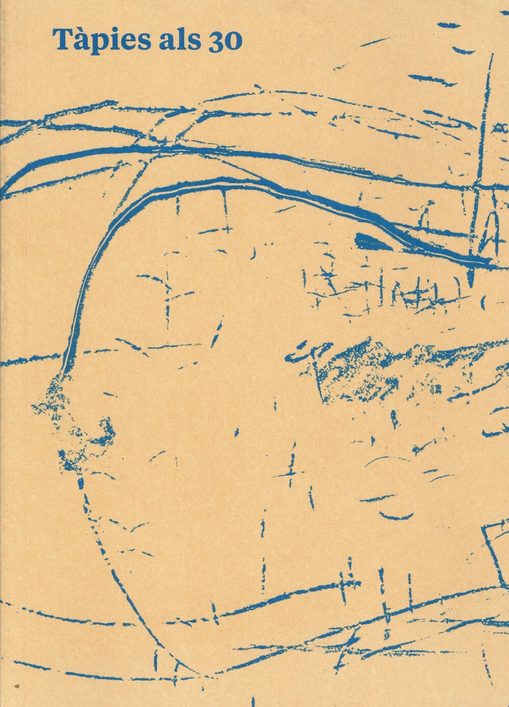 tapies_30.jpg
