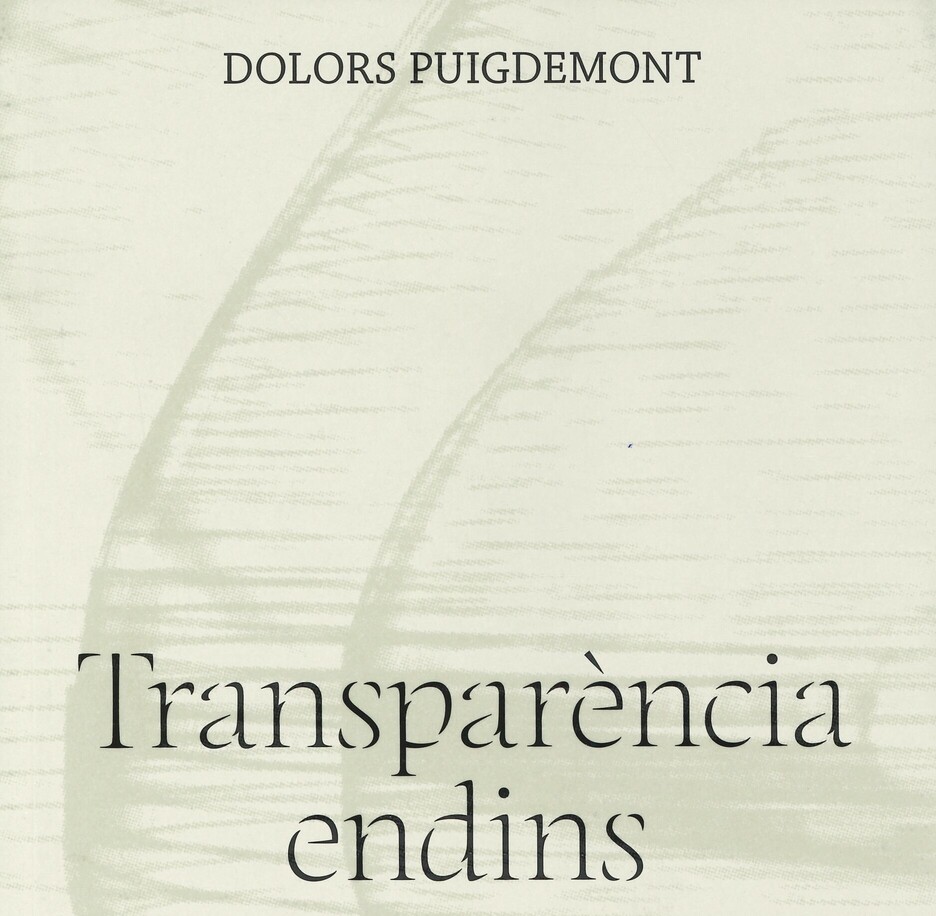transparencia_endins.jpg