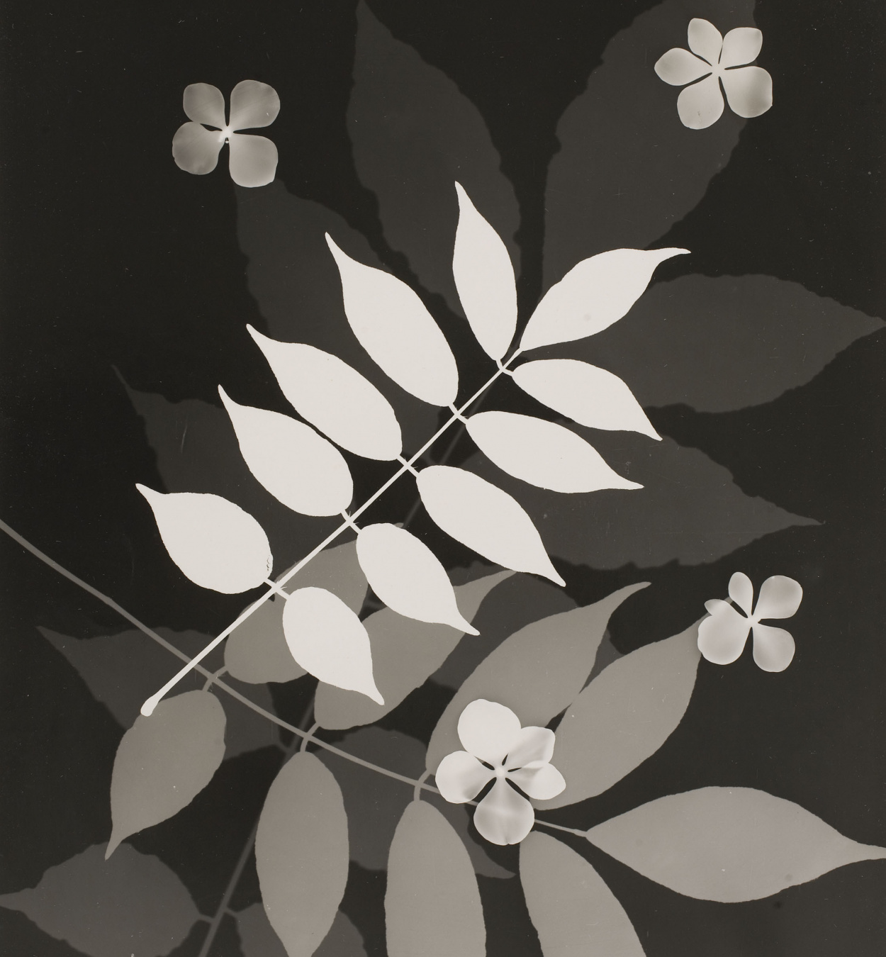 © Maria Rosa Godes Emili Godes - Untitled - Circa 1930