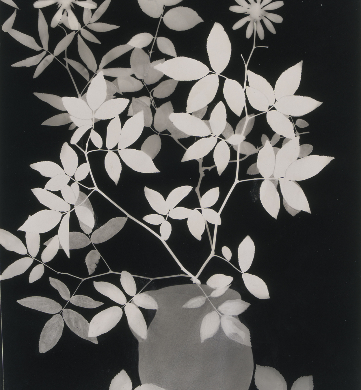 © Maria Rosa Godes Emili Godes - Untitled - Circa 1930