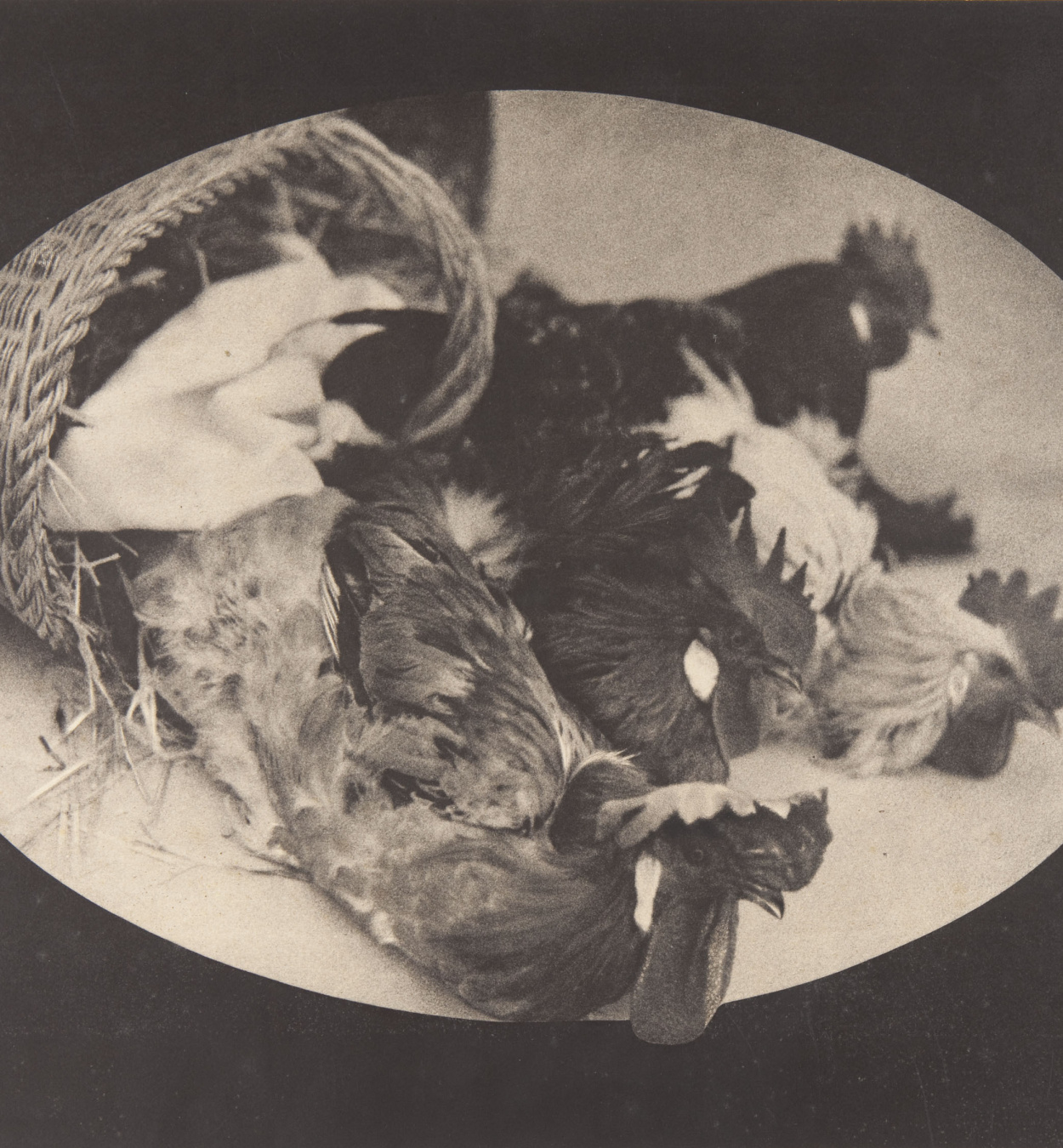 Untitled Claudi Carbonell - Untitled - Undated