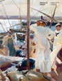 Sorolla. Vision of Spain.Hispanic Society of America Collection 2007 - Several Authors