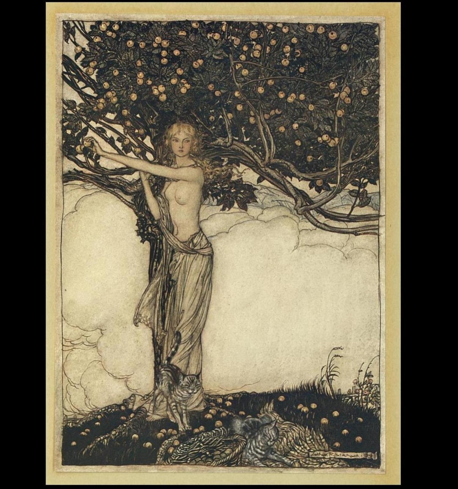 67 Arthur Rackham