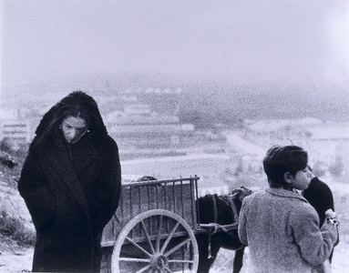 Fotografia de Colita