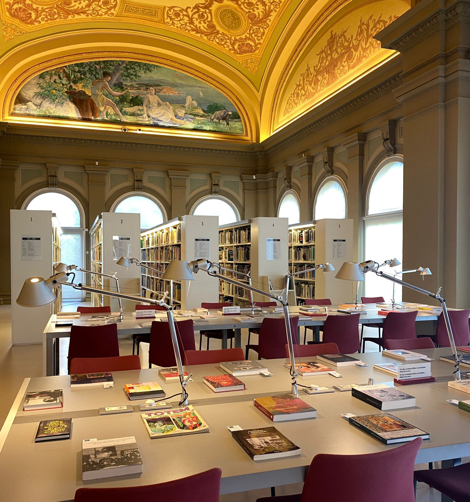 campanya biblioteca Amics