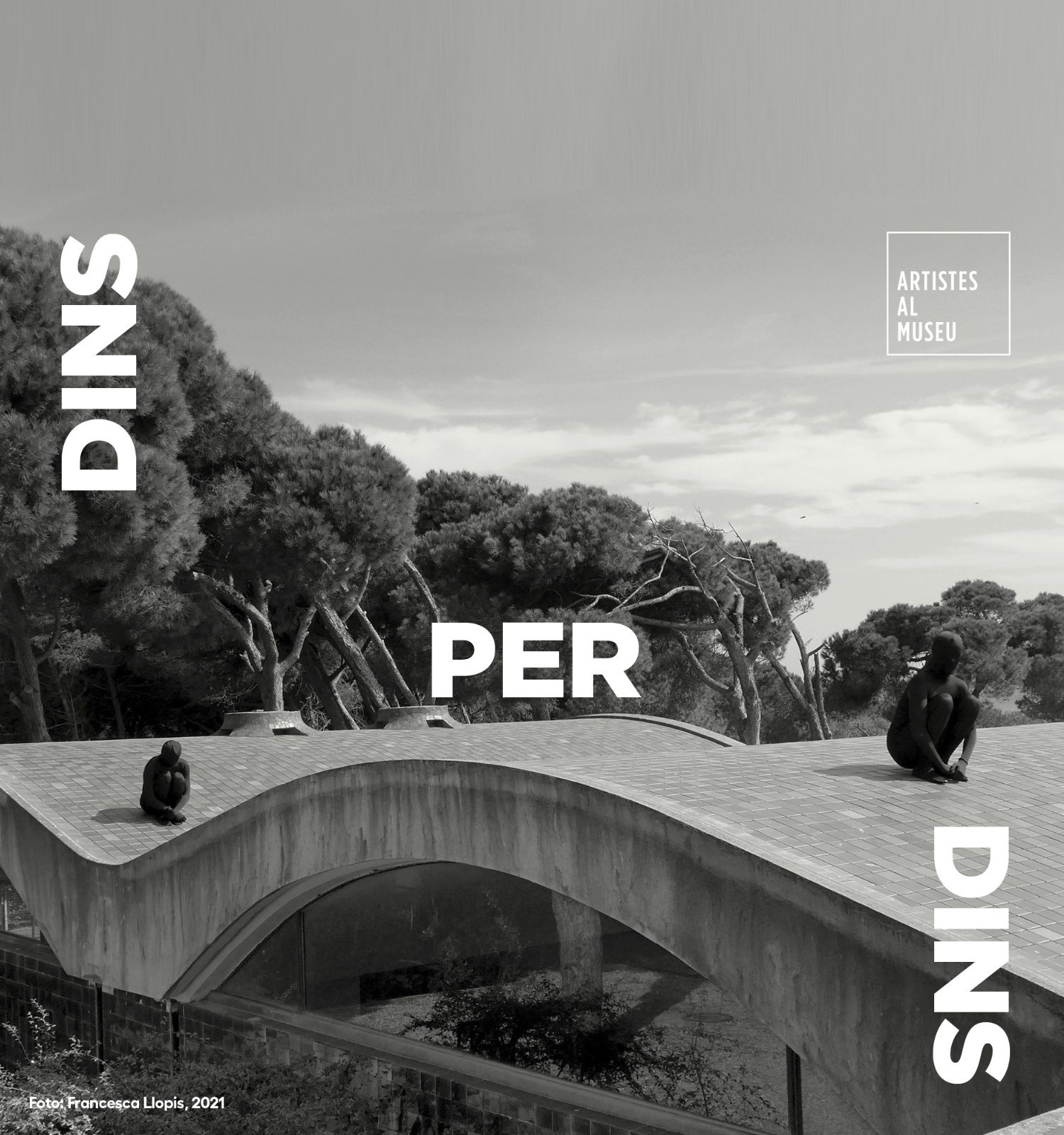 Dins per dins | artistes al museu