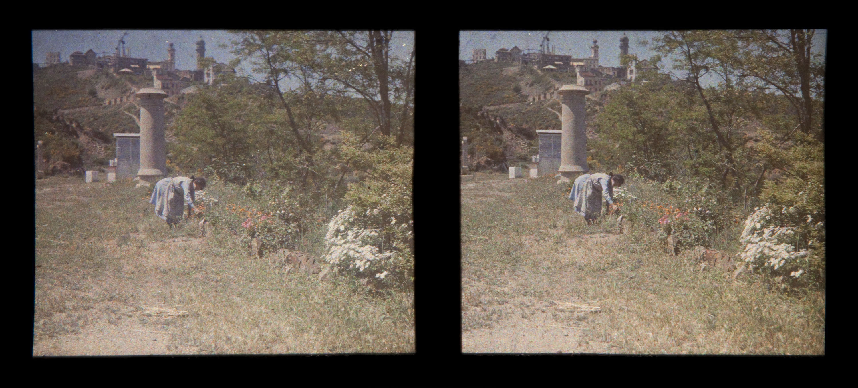 image for: Francesc Carrera Bou - Dona collint flors - Cap a 1922-1926