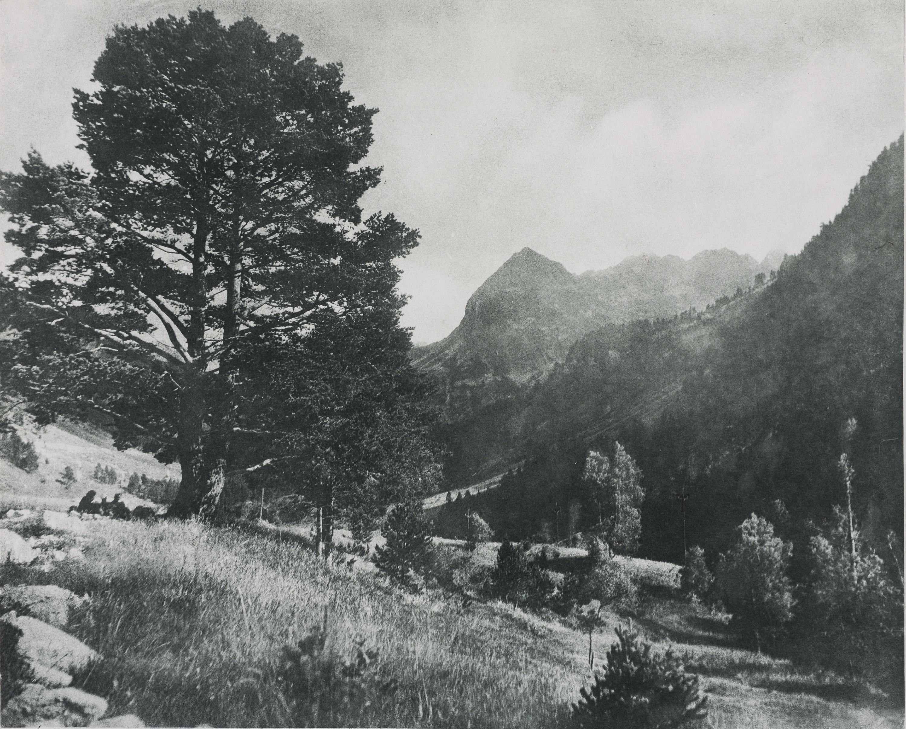 image for: Josep Maria Casals i Ariet - Paisatge - No datat