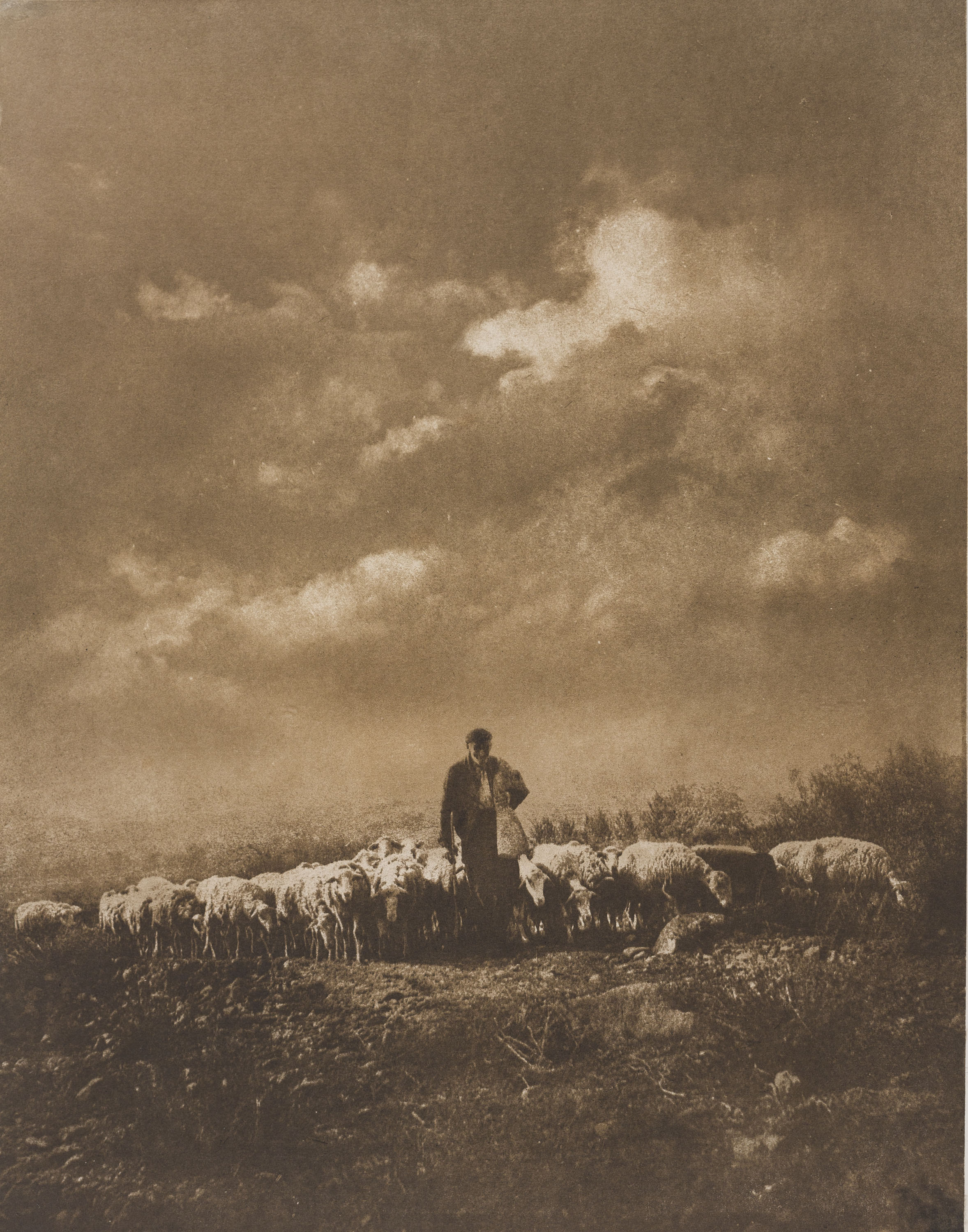 image for: Josep Maria Casals i Ariet - Pastor amb ramat de bens - No datat